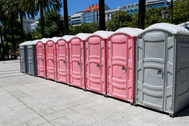 Best Standard Portable Toilet Rental  in Pleasant View, UT