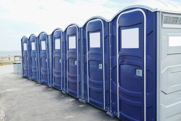 Best Eco-Friendly Portable Toilets  in Pleasant View, UT